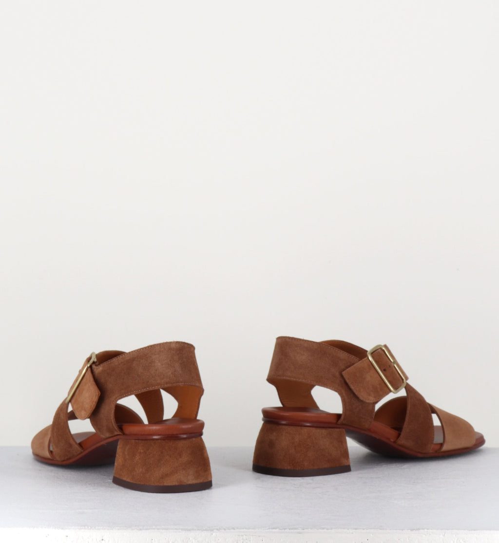 QUI-ISRAEL44 ZEUS CASTANO