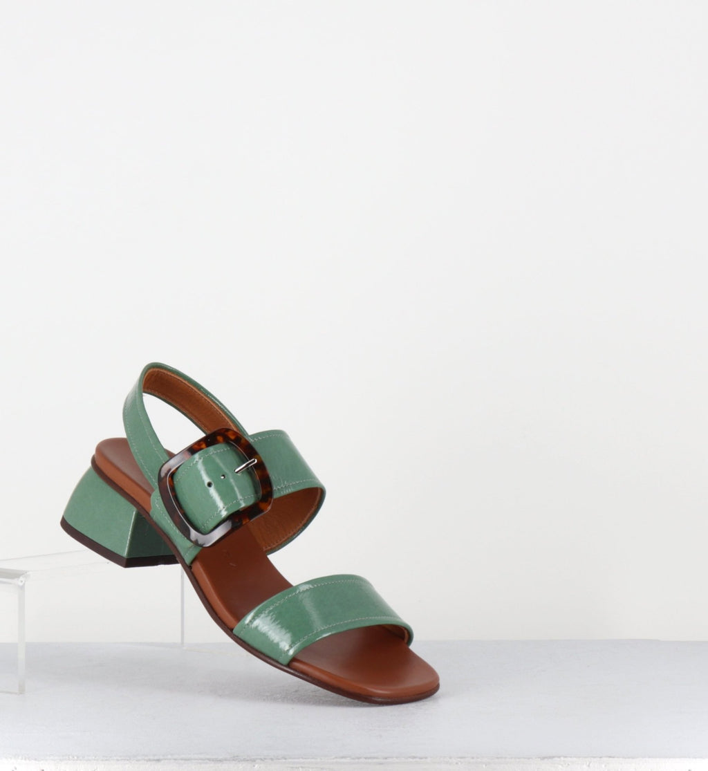 QUANDA46 SUCRE JADE
