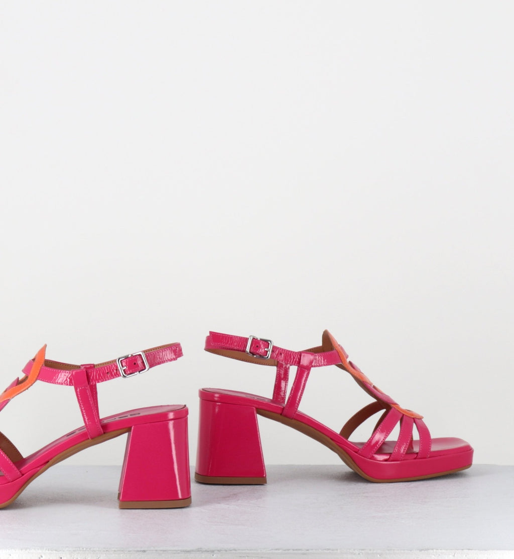 TAGA24 FUXIA ORANGE