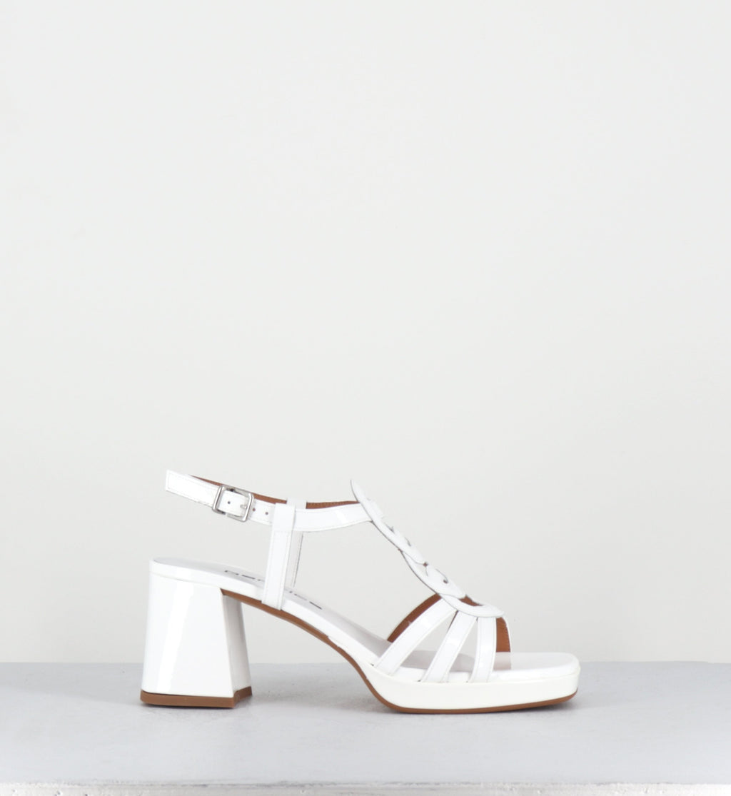 TAGA24 VERNICE BIANCO