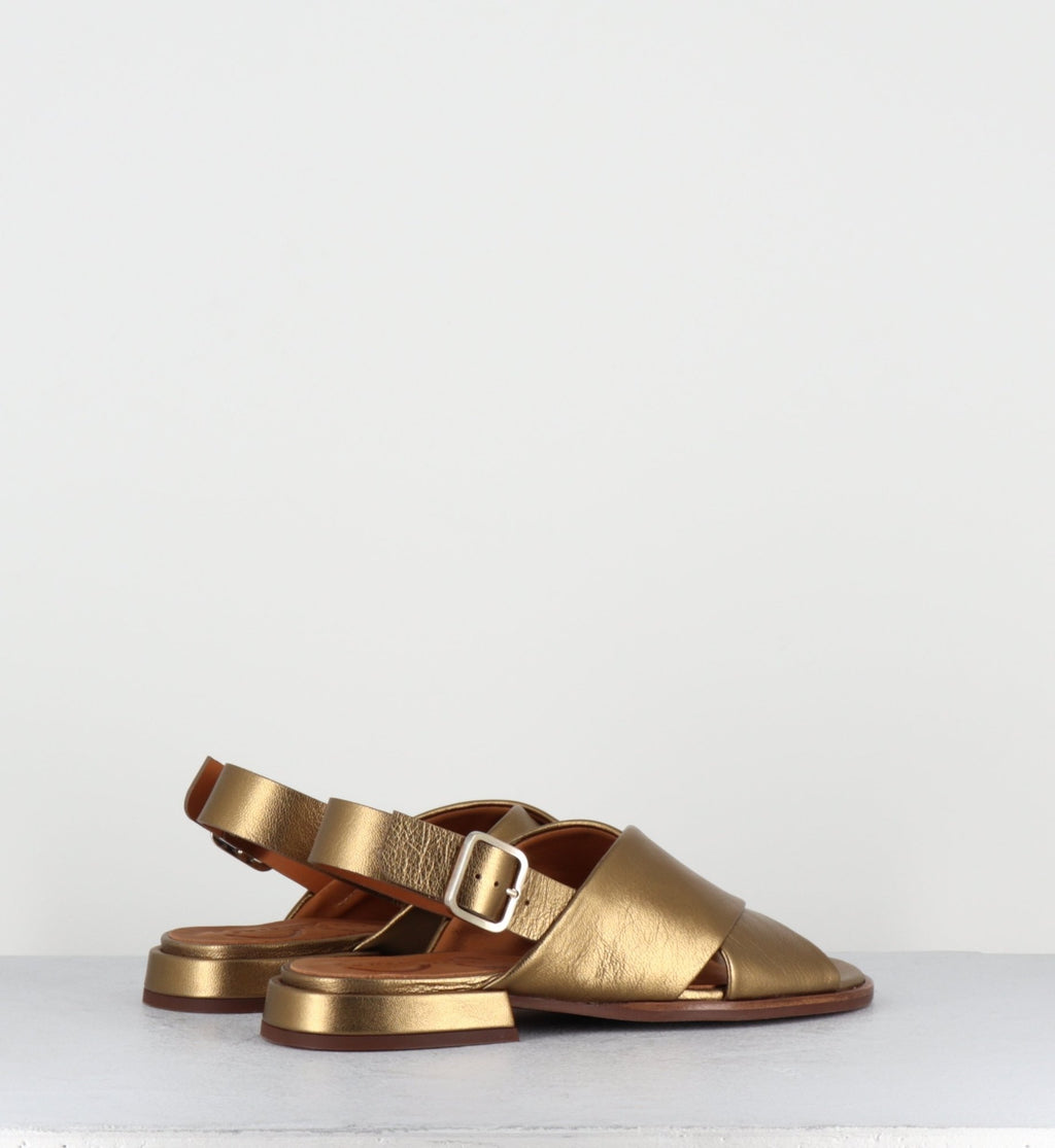 WASPI DALI BRONCE