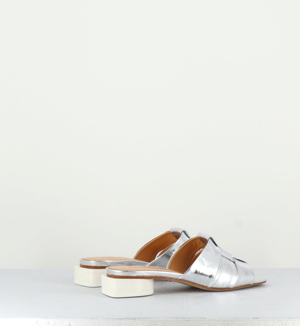 DAHLIA13 SILVER