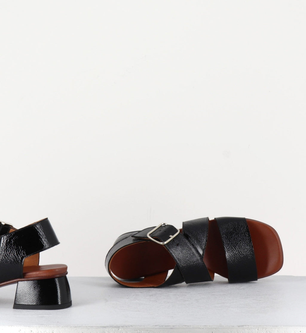 QUI-ISRAEL44 FERRARI NEGRO