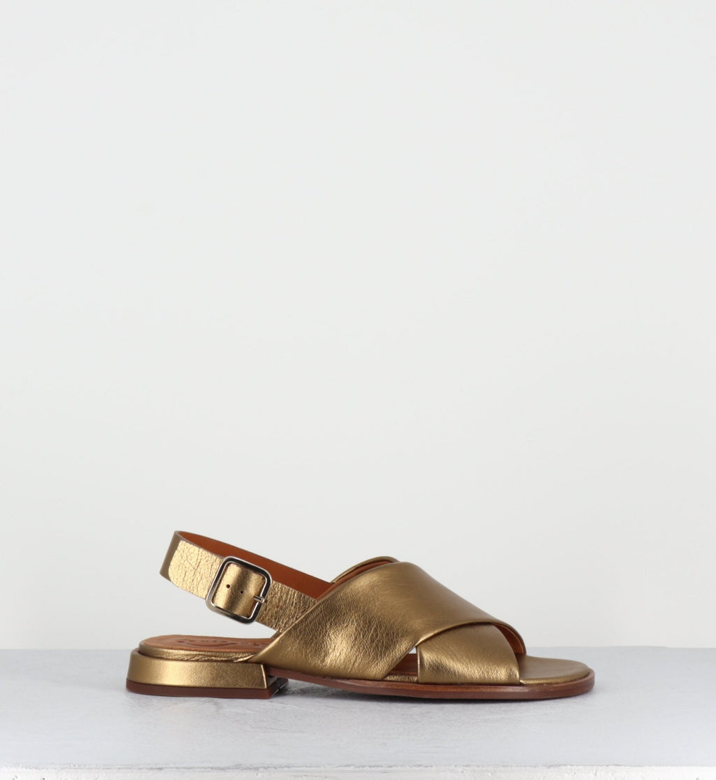 WASPI DALI BRONCE