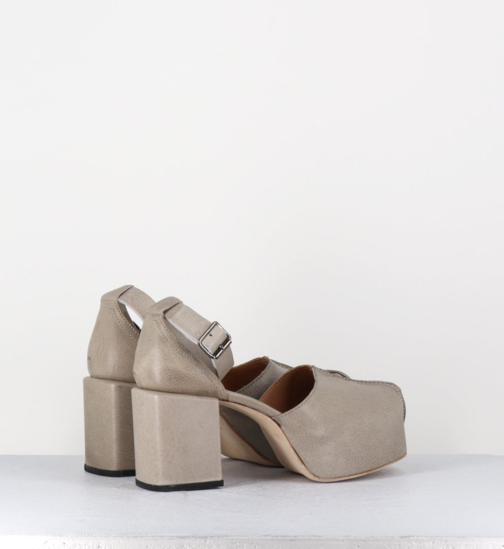 - 1GS445 SAFARI TORTORA