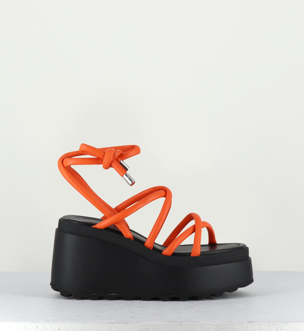 1Z5407D LOBSTER