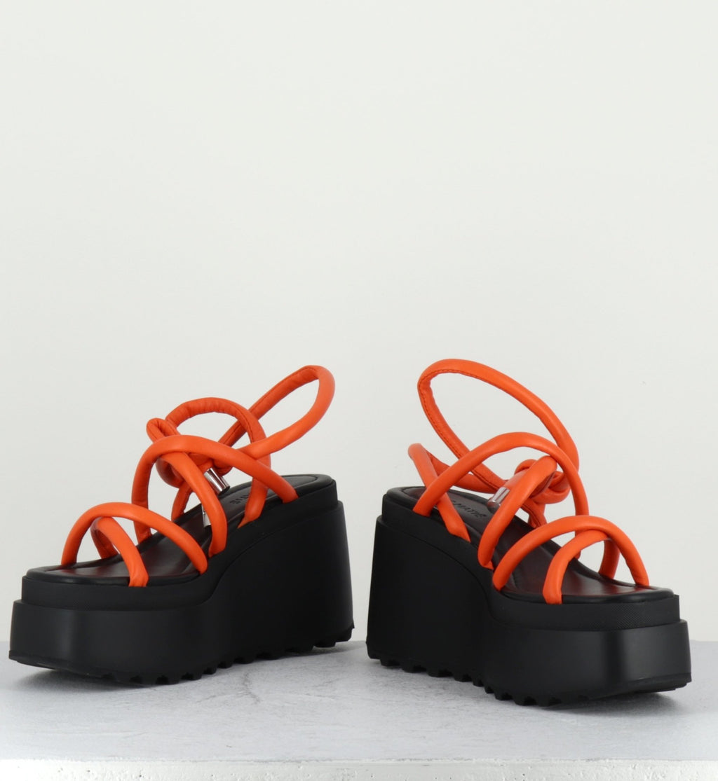 1Z5407D LOBSTER