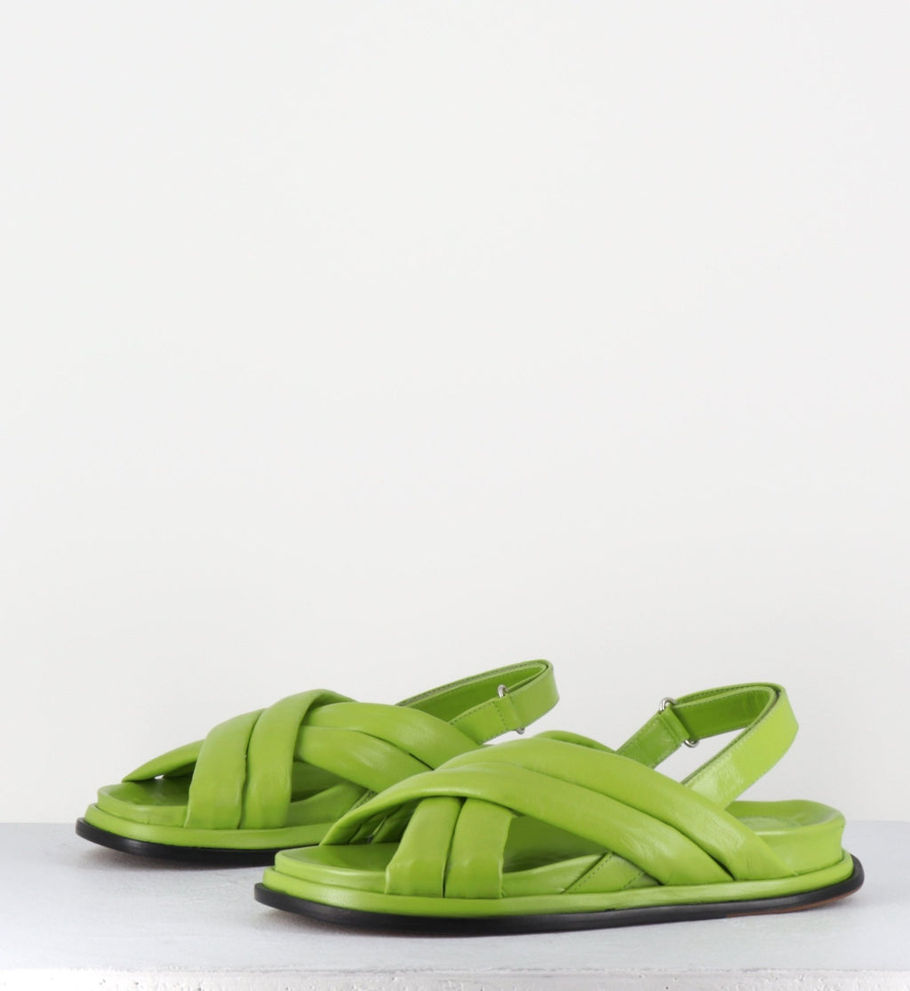 DRIKA1 NAPPA KIWI