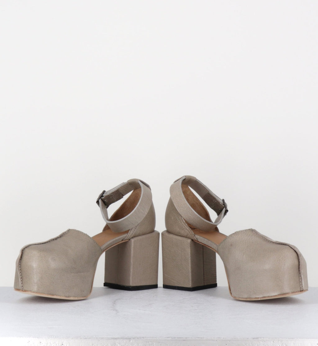 - 1GS445 SAFARI TORTORA