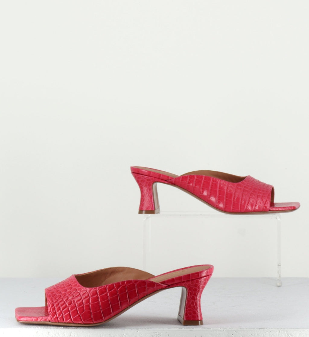 2267 COCCO FUXIA