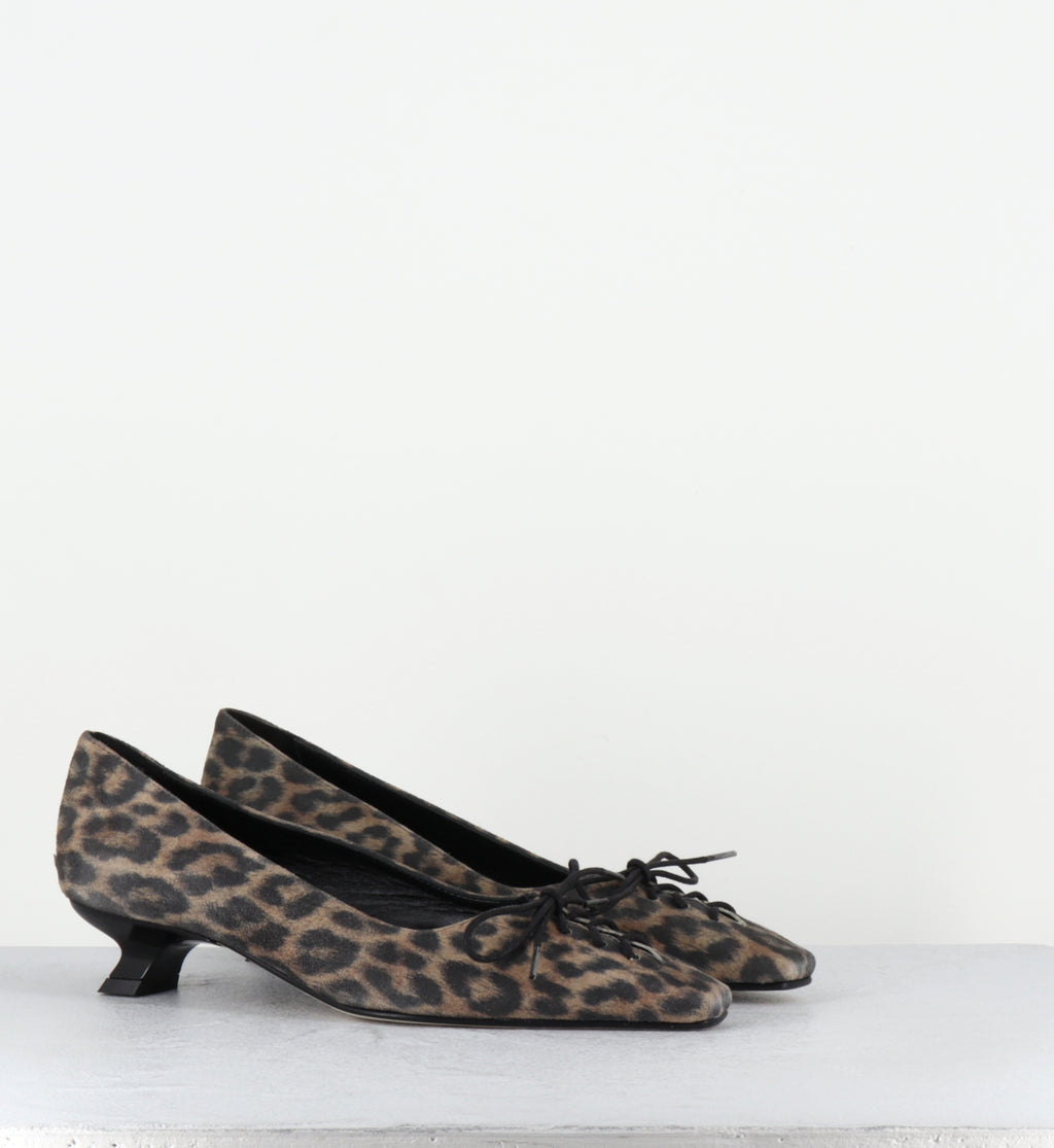 LATEI KAMELOS MACULATO