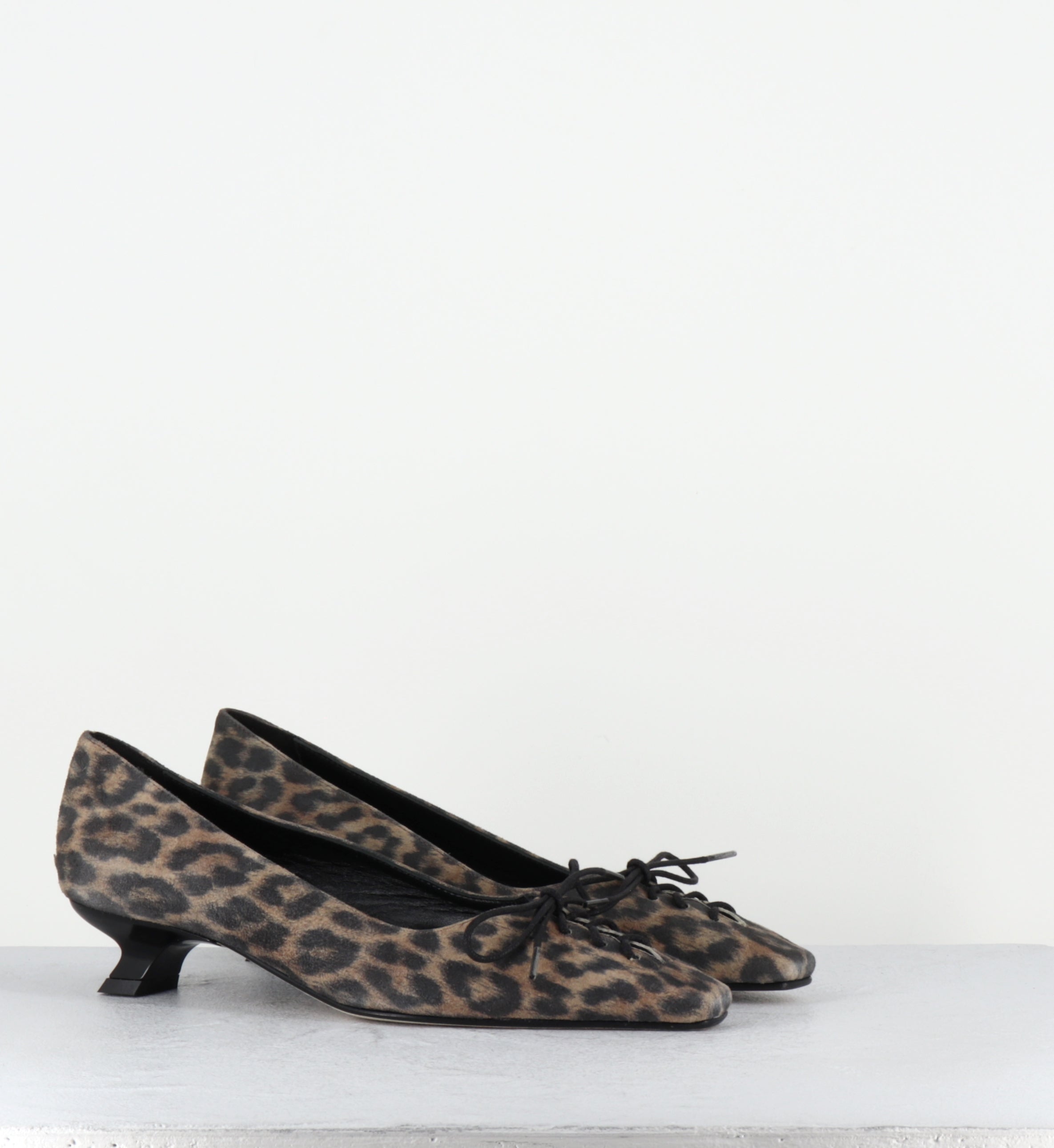 LATEI KAMELOS MACULATO