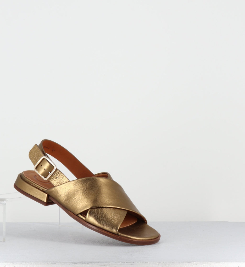 WASPI DALI BRONCE