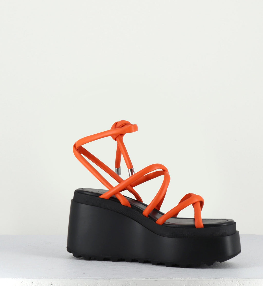 1Z5407D LOBSTER