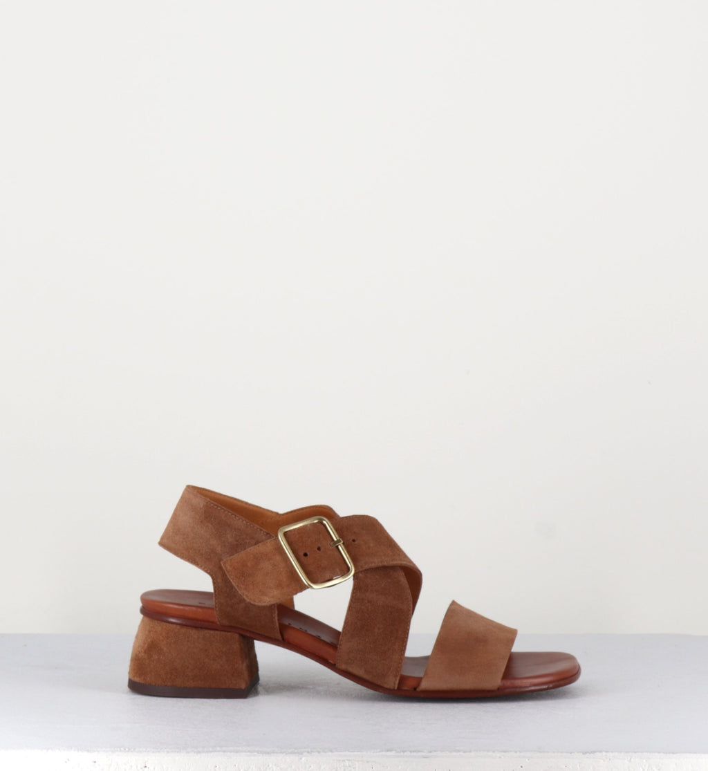 QUI-ISRAEL44 ZEUS CASTANO