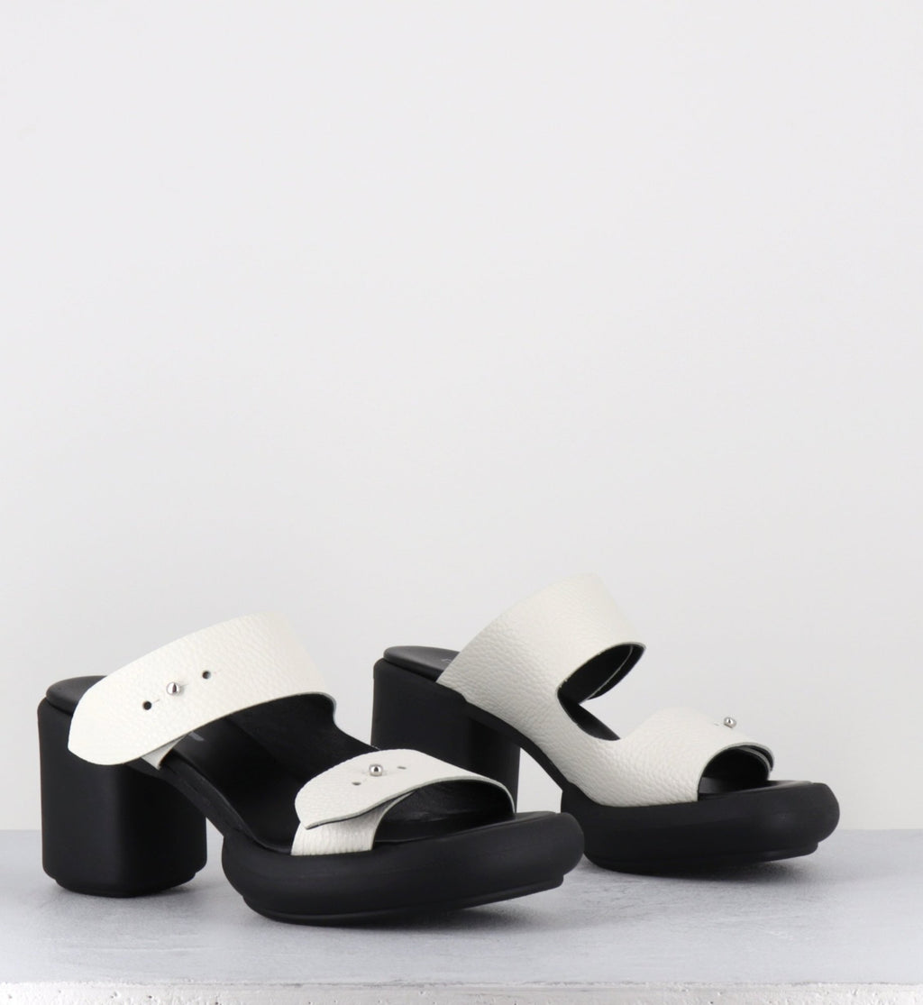 ALIANO CORONA BIANCO