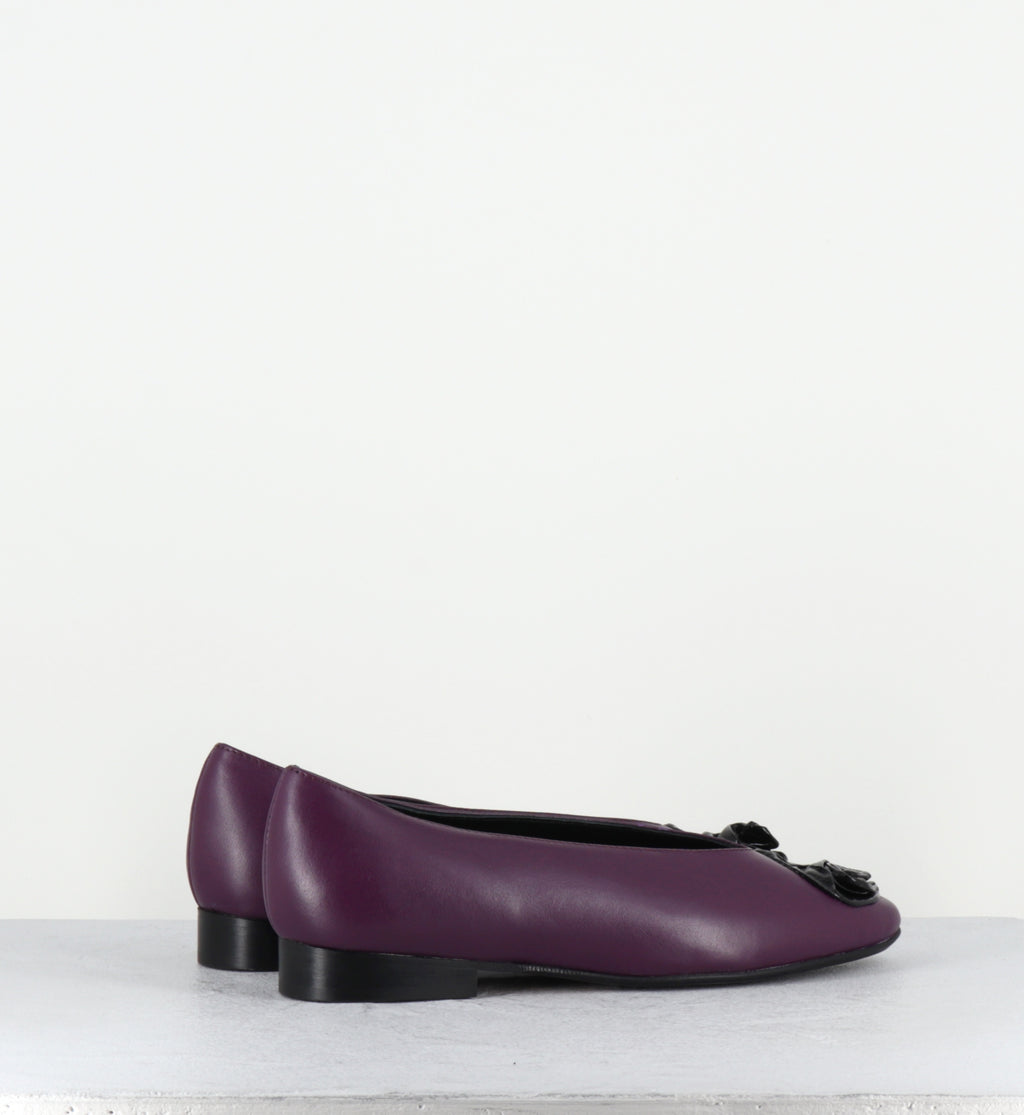 SORTI NAPPA VIOLA
