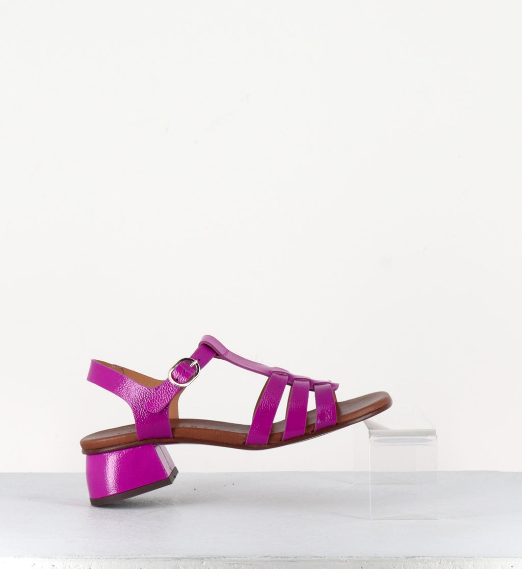 QUI-QUACA44 FERRARI PURPLE