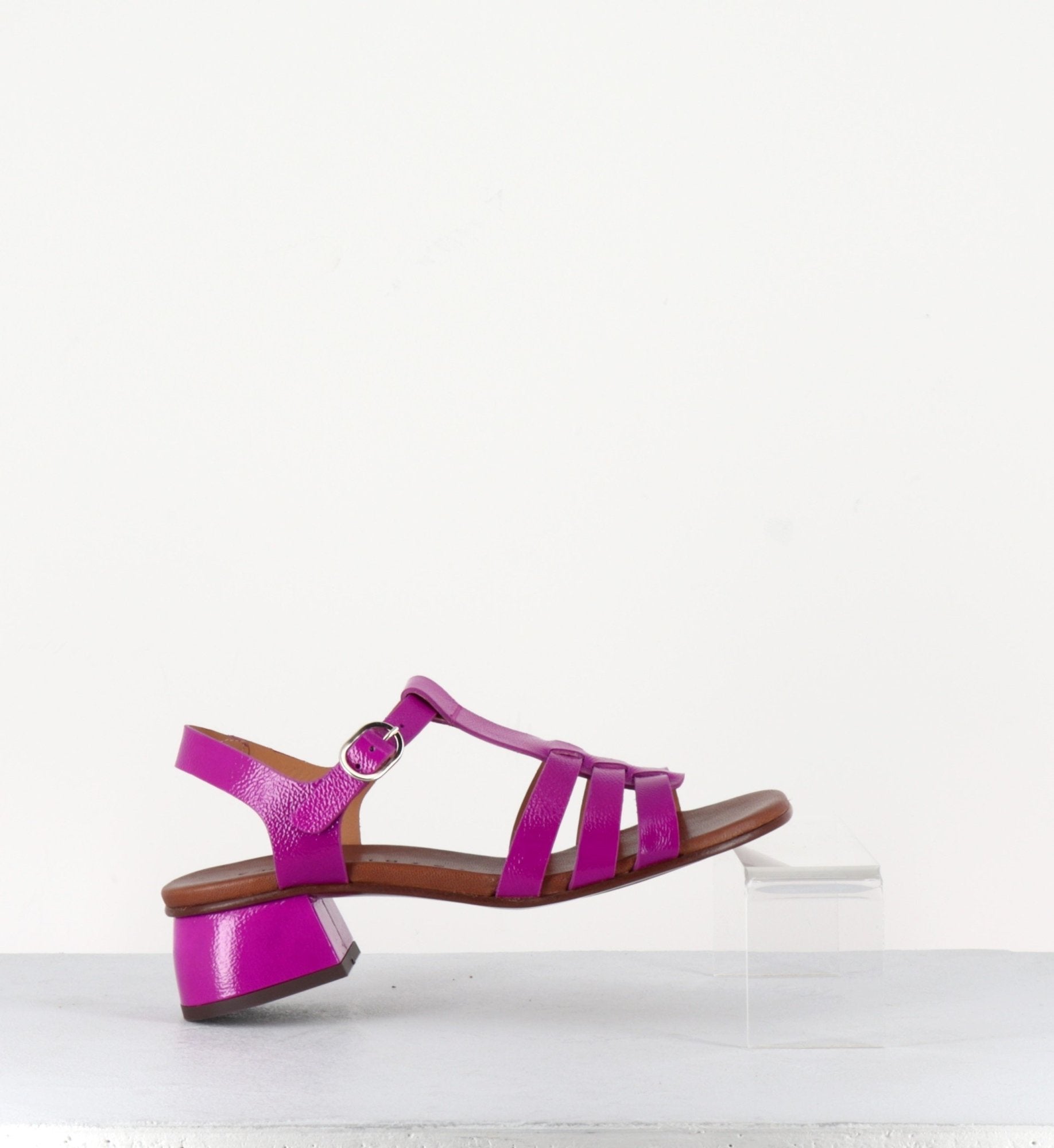 QUI-QUACA44 FERRARI PURPLE