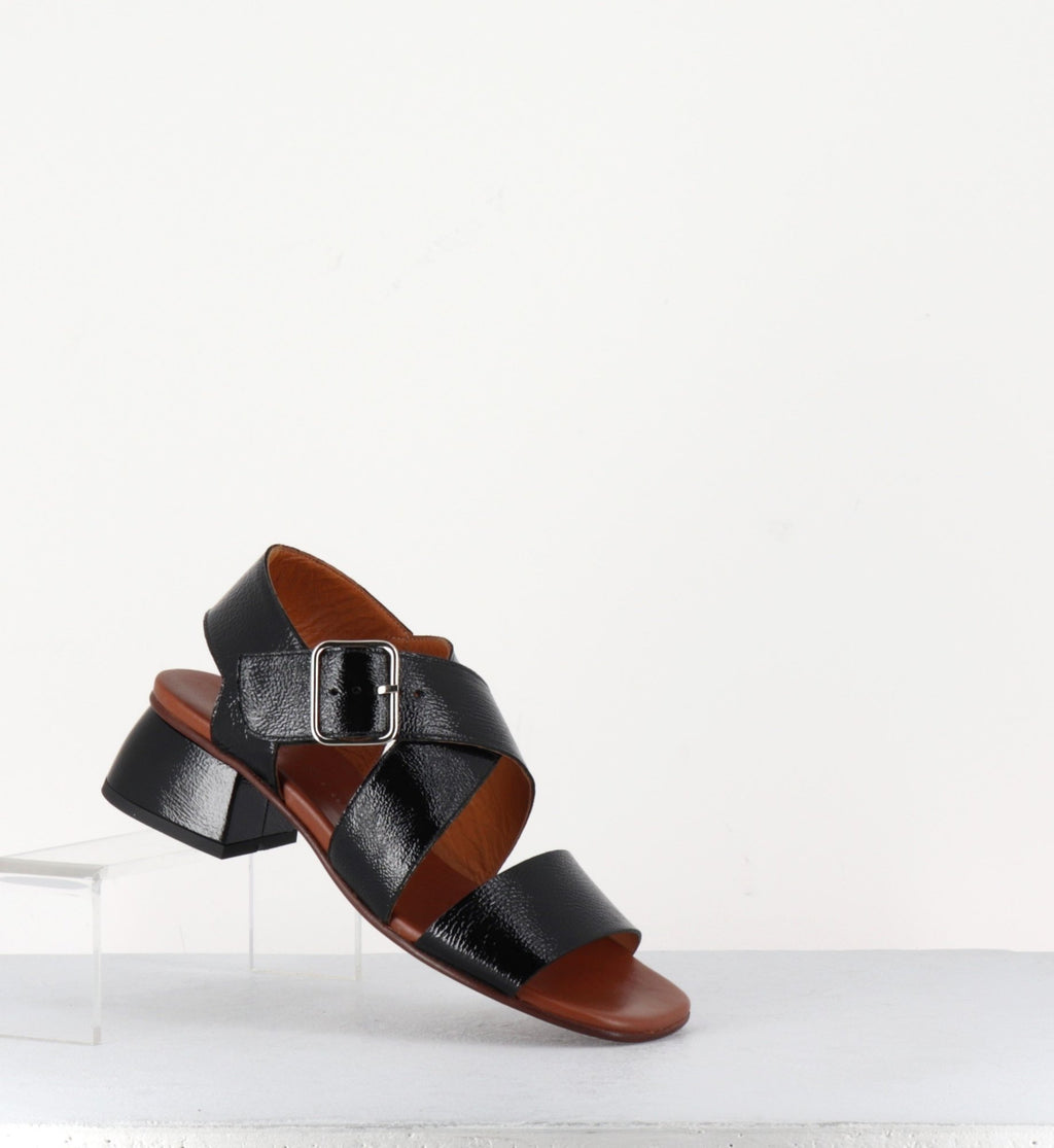 QUI-ISRAEL44 FERRARI NEGRO