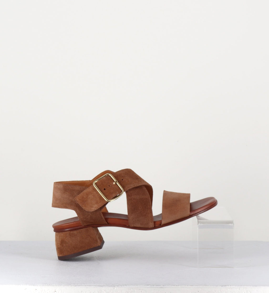 QUI-ISRAEL44 ZEUS CASTANO