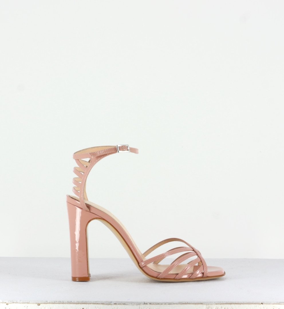 ANT011 ROSA