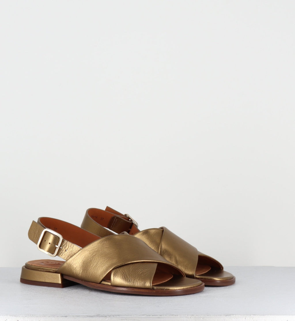 WASPI DALI BRONCE