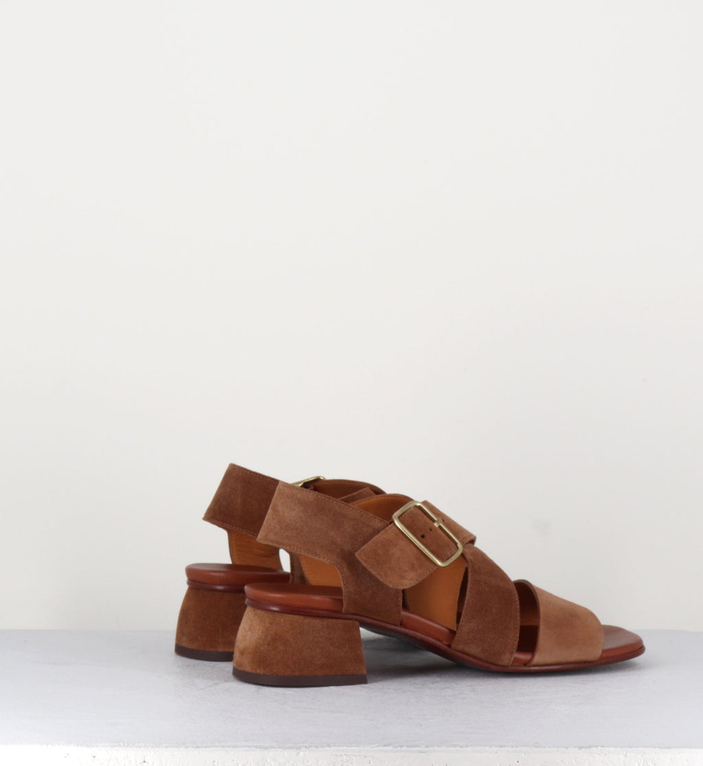 QUI-ISRAEL44 ZEUS CASTANO