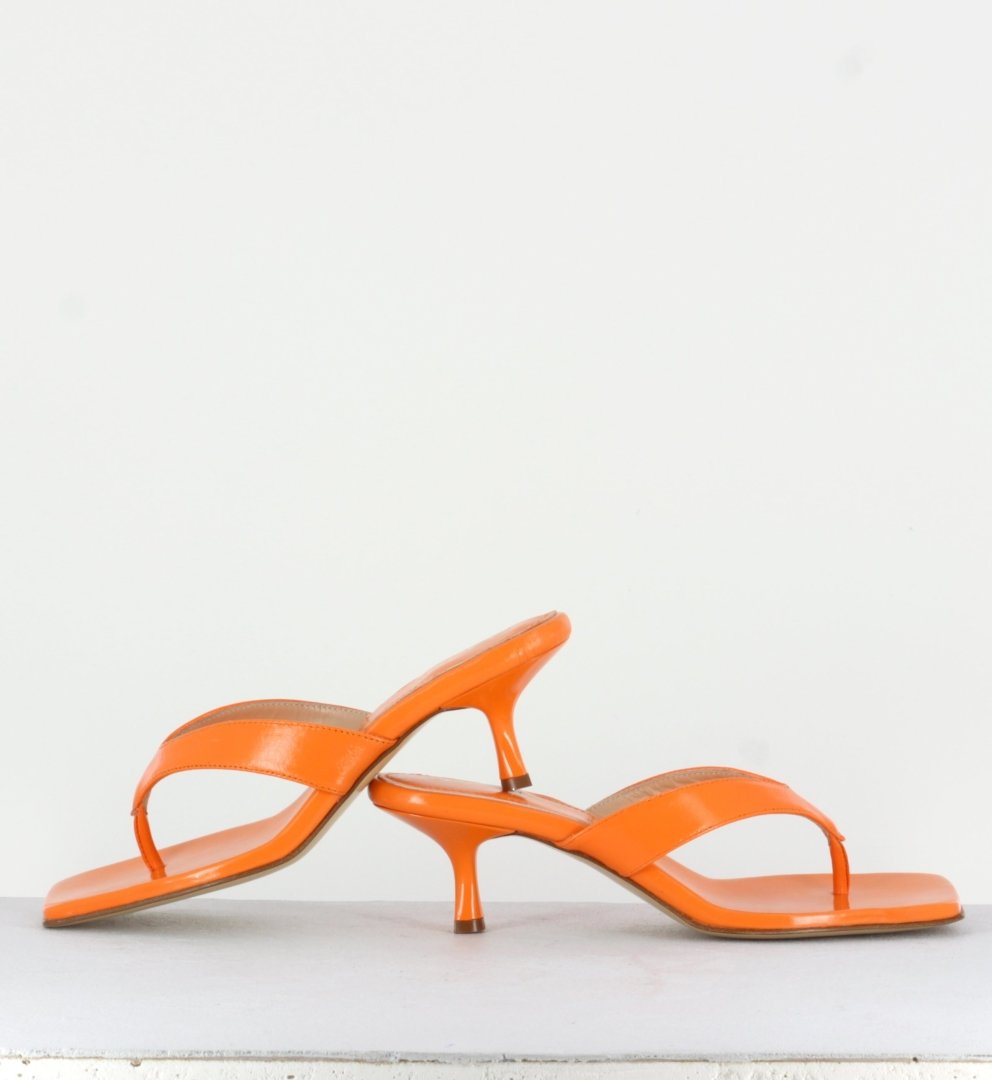 RB1075 NETTARINA