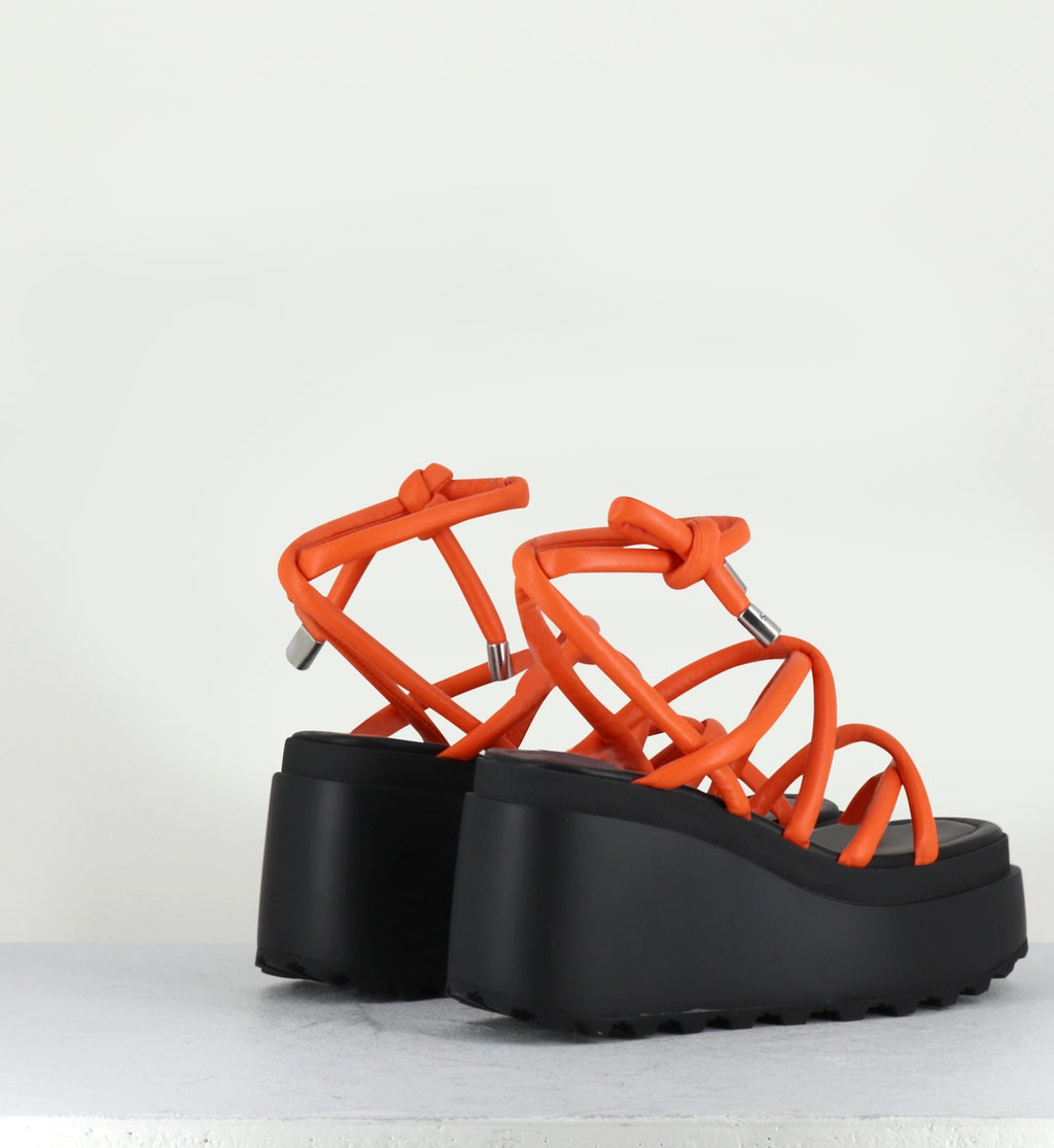 1Z5407D LOBSTER