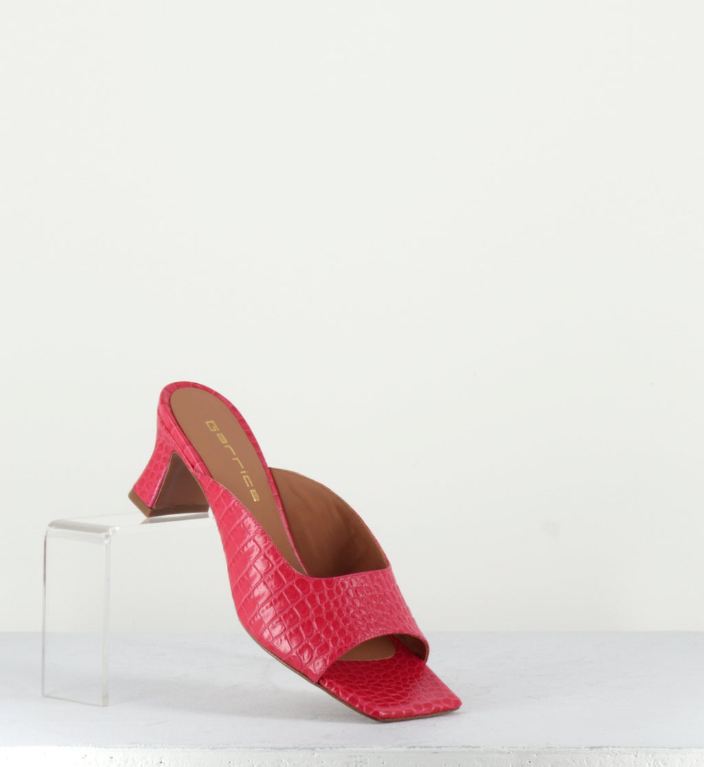 2267 COCCO FUXIA