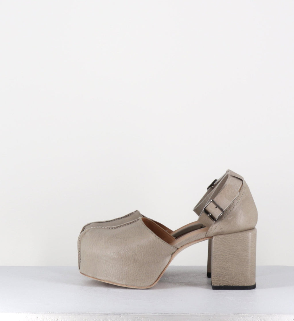 - 1GS445 SAFARI TORTORA