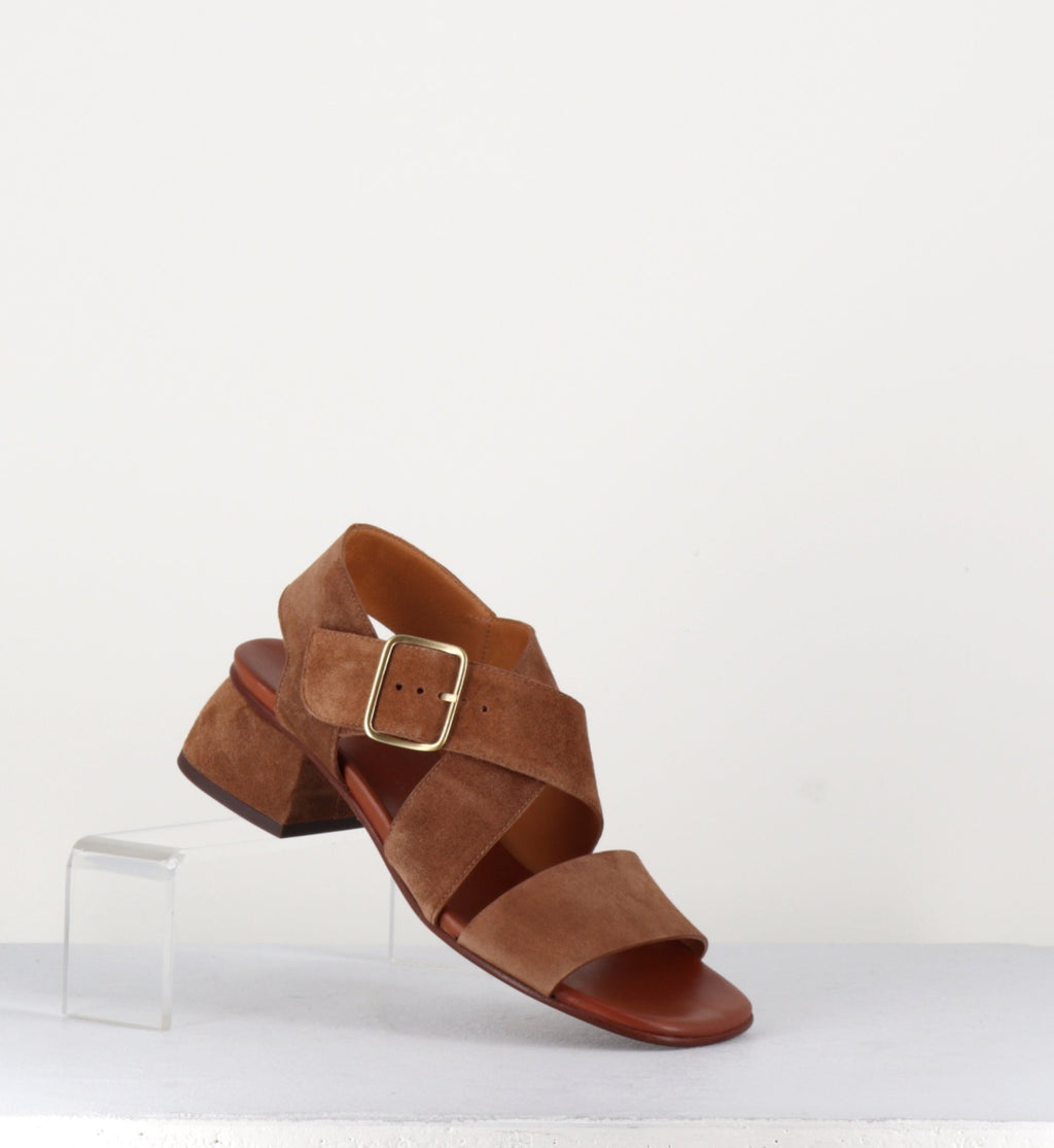 QUI-ISRAEL44 ZEUS CASTANO