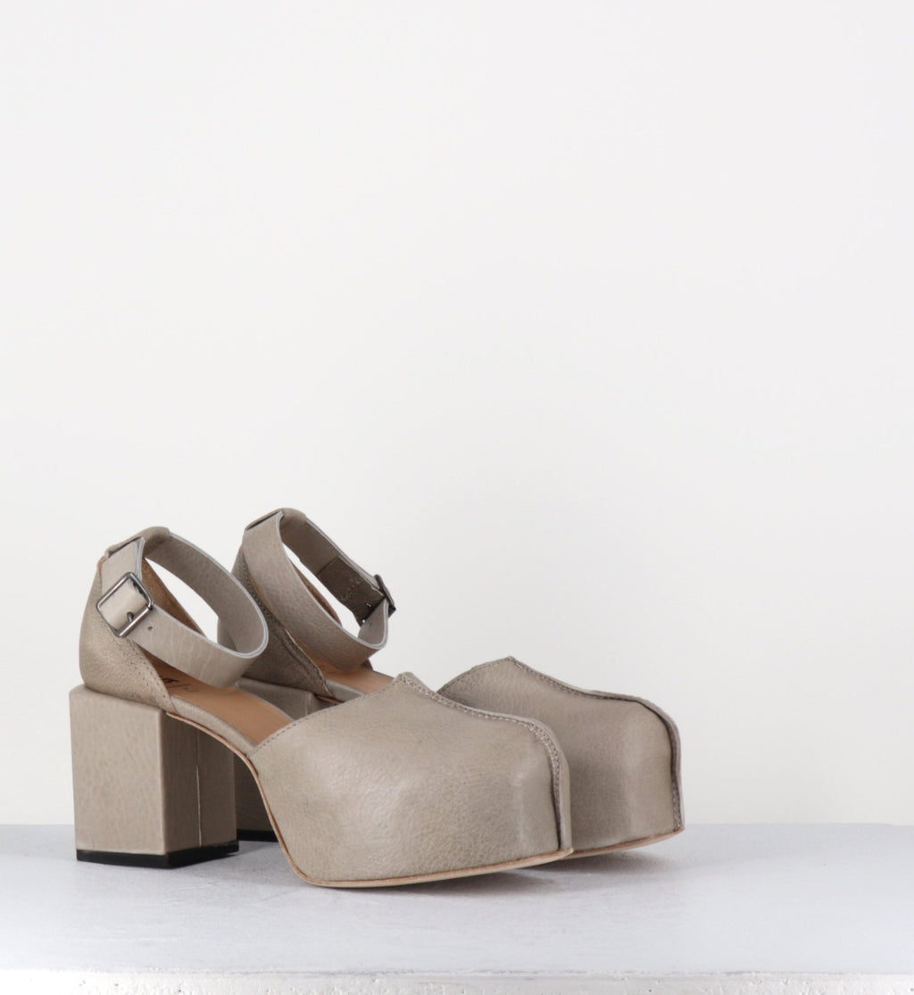 - 1GS445 SAFARI TORTORA