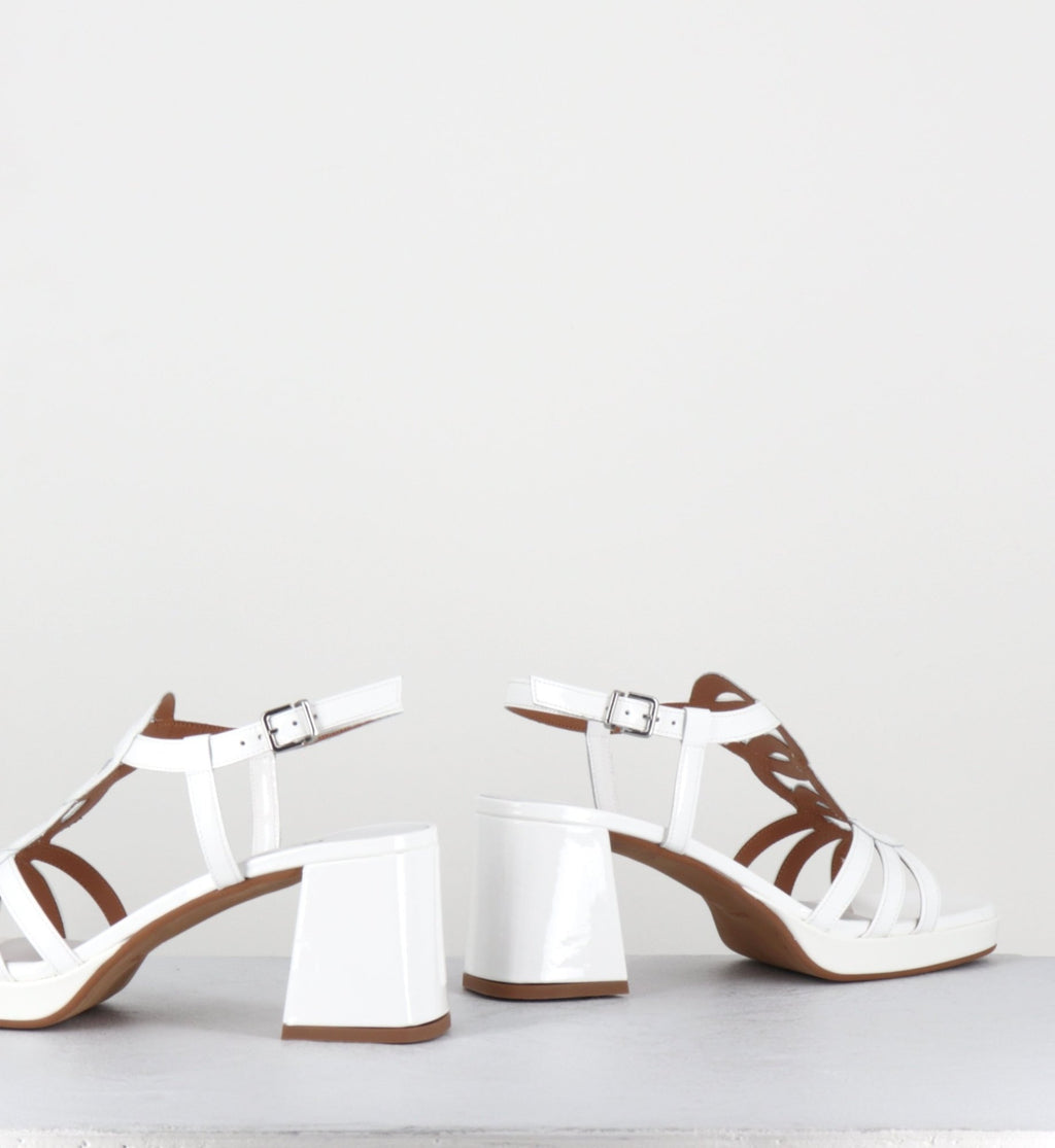 TAGA24 VERNICE BIANCO