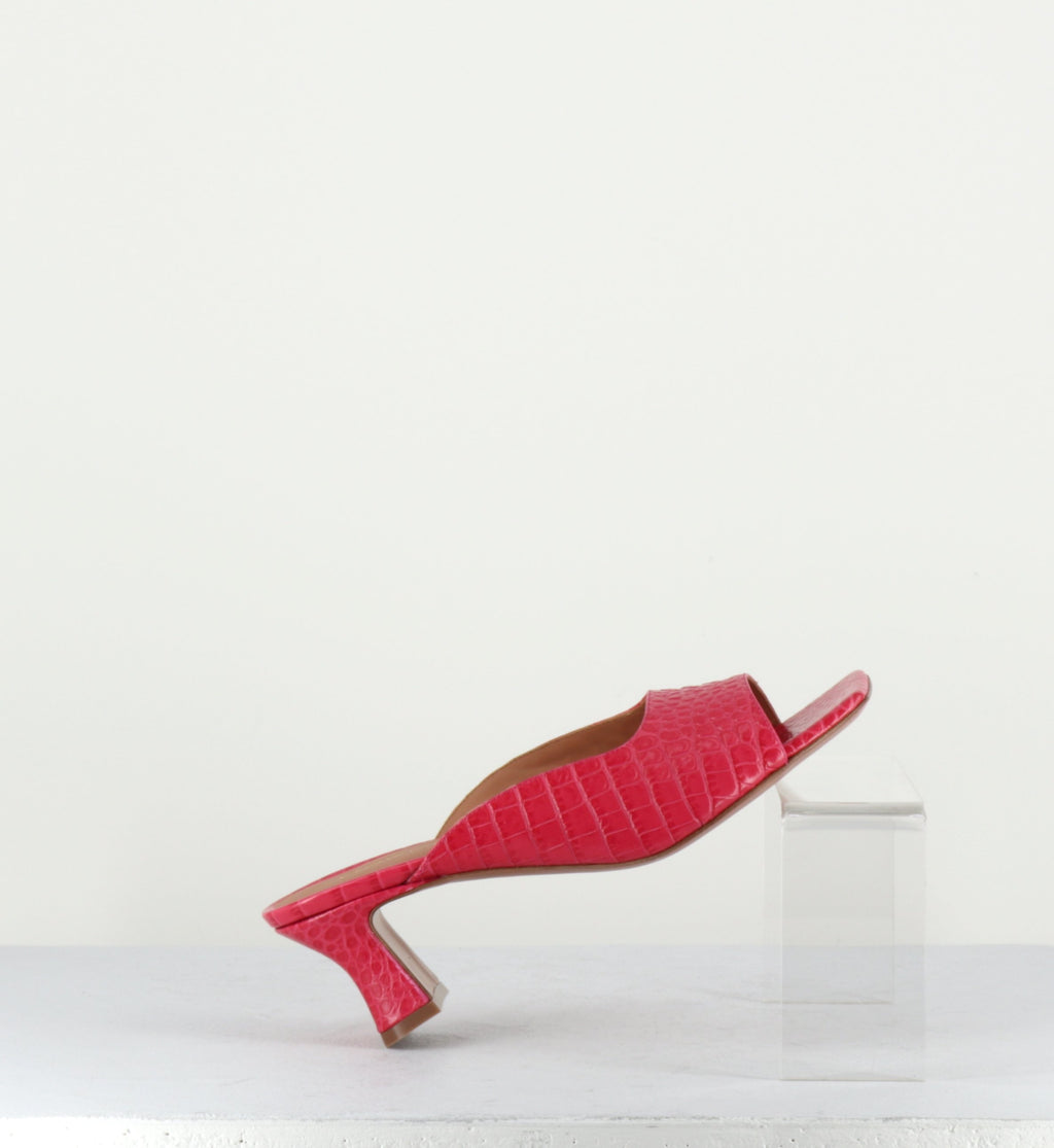 2267 COCCO FUXIA