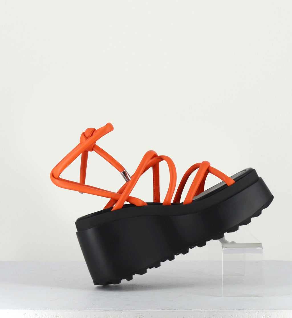 1Z5407D LOBSTER