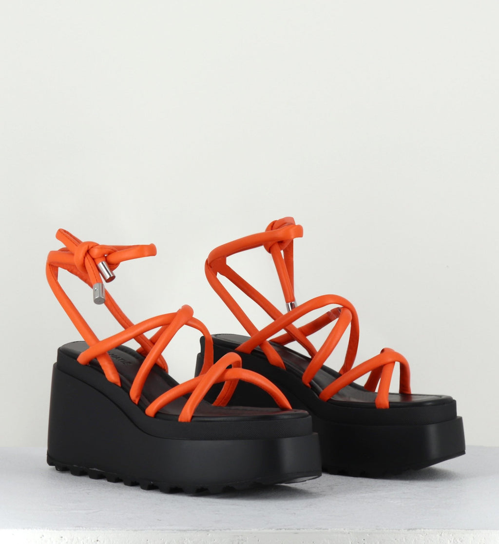 1Z5407D LOBSTER