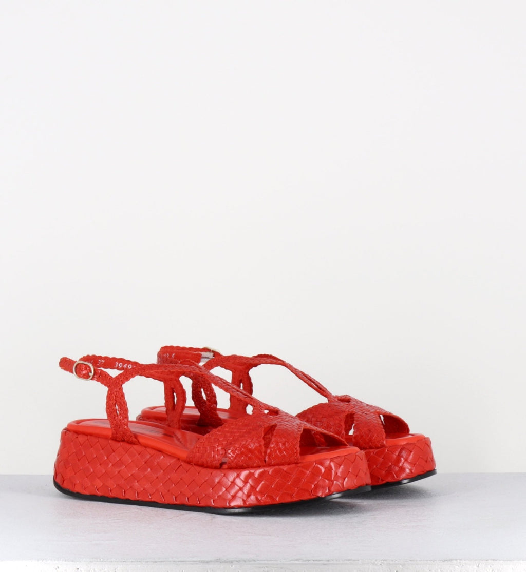 CATI25 MANDARINA TRENZ