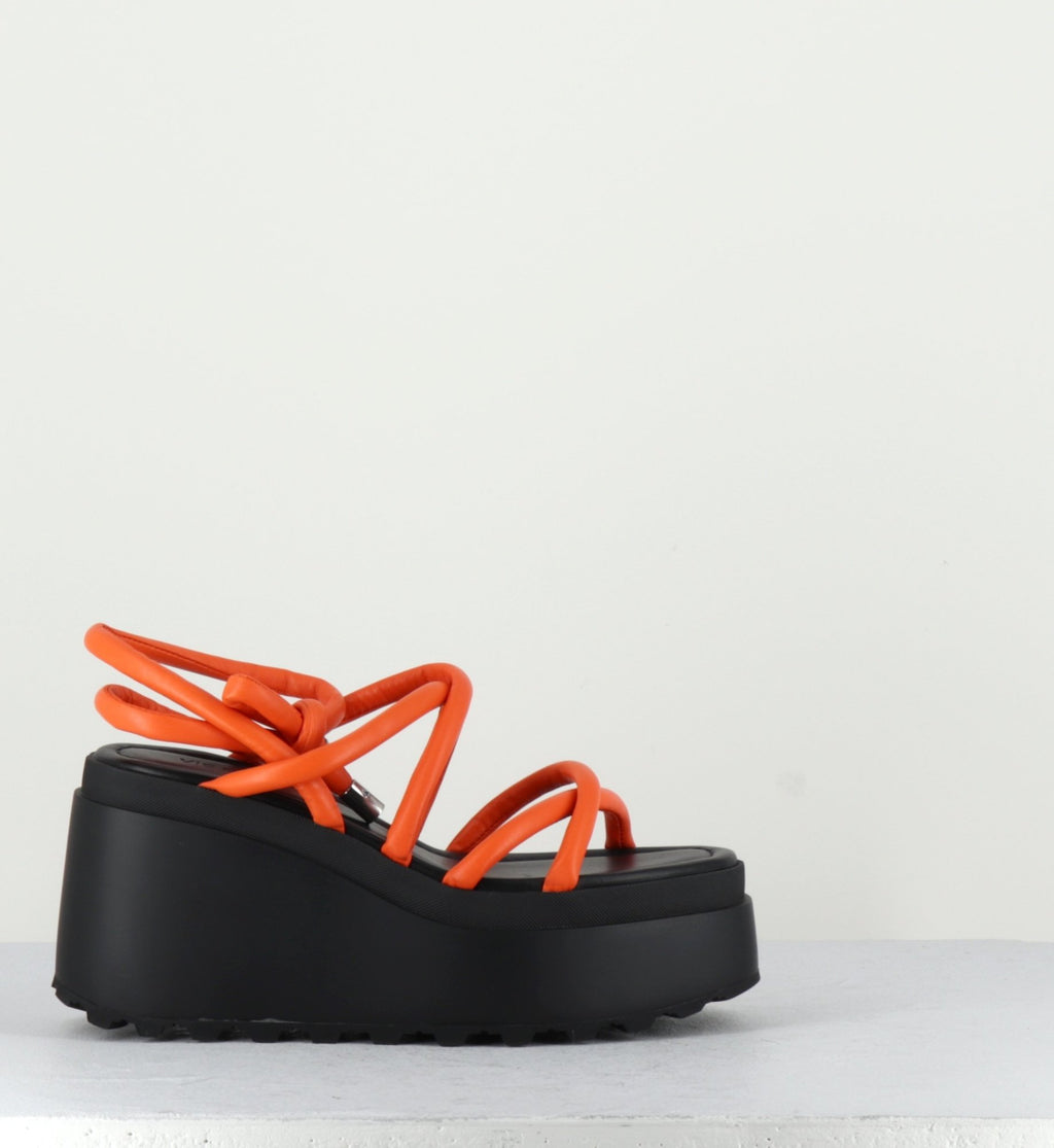 1Z5407D LOBSTER