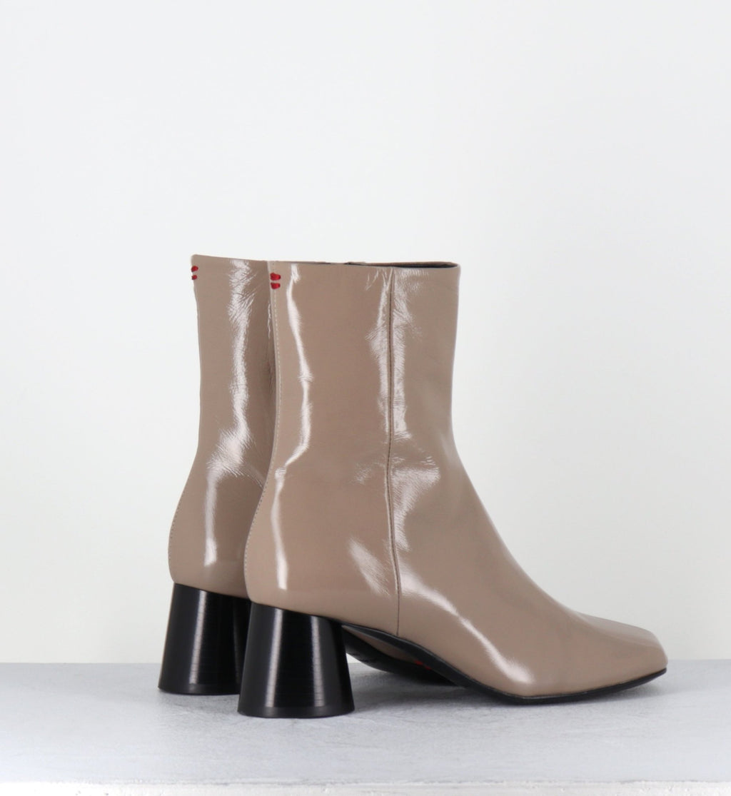 DANI04 GLAZE TORTORA