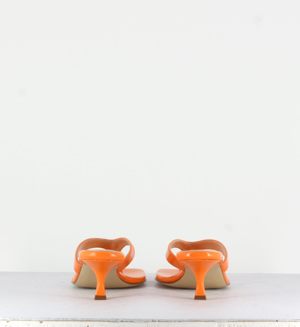 RB1075 NETTARINA