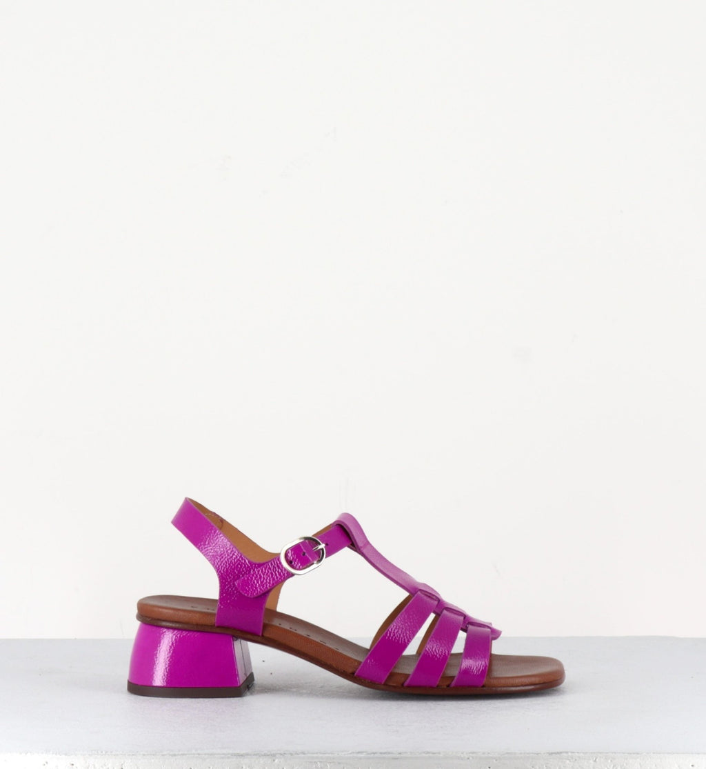 QUI-QUACA44 FERRARI PURPLE