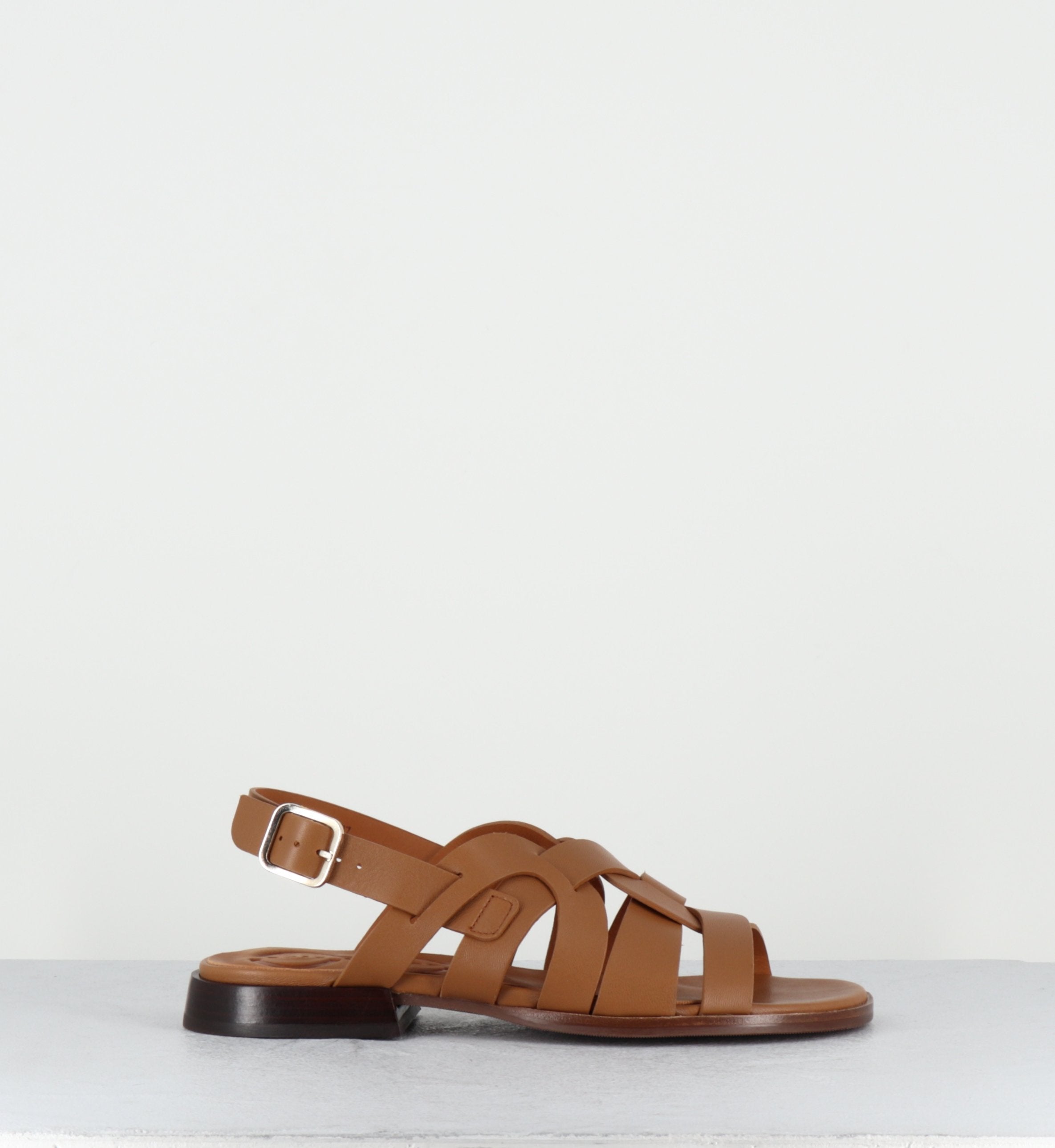 WALAI LINDA CAMEL