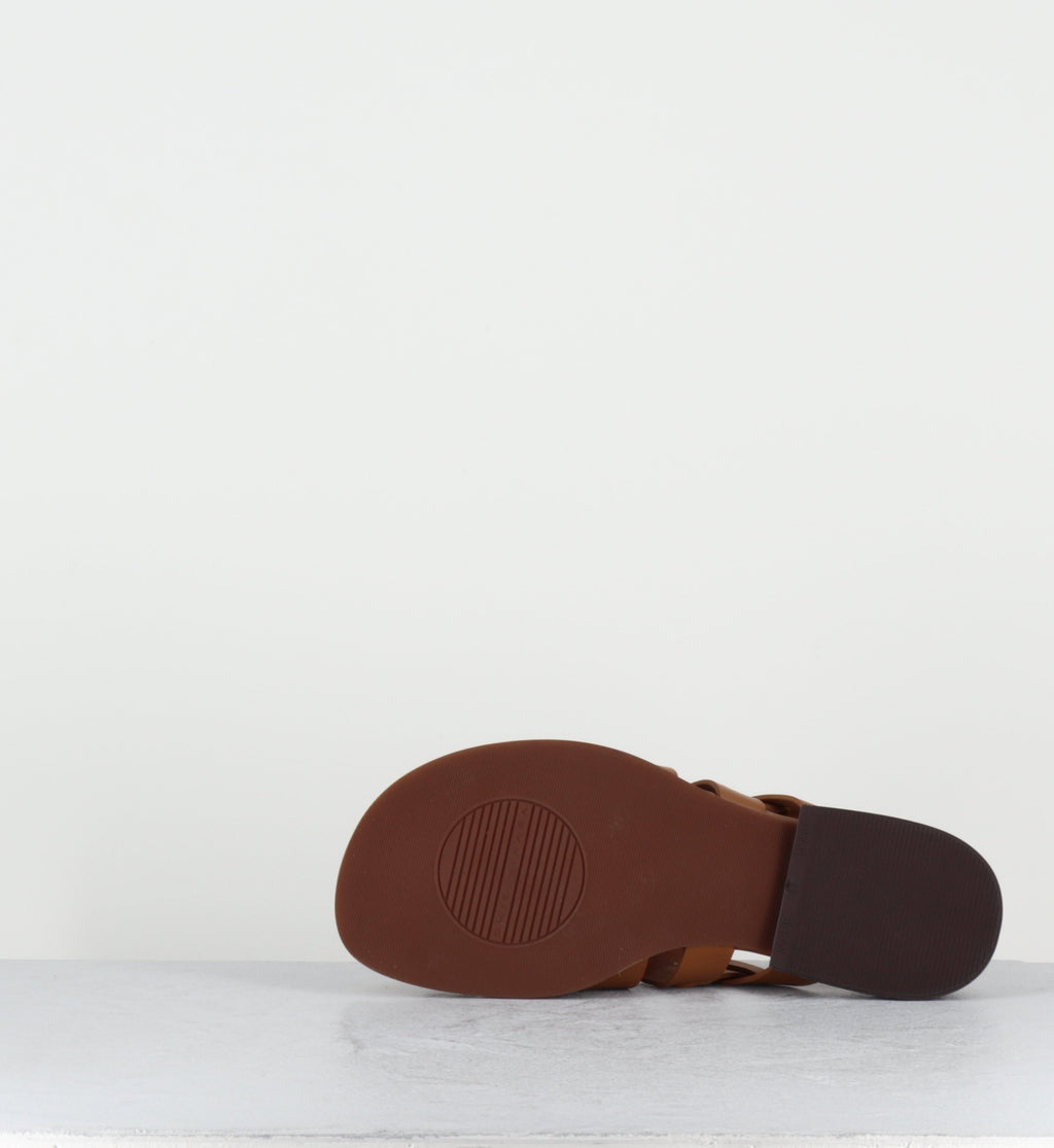 WALAI LINDA CAMEL