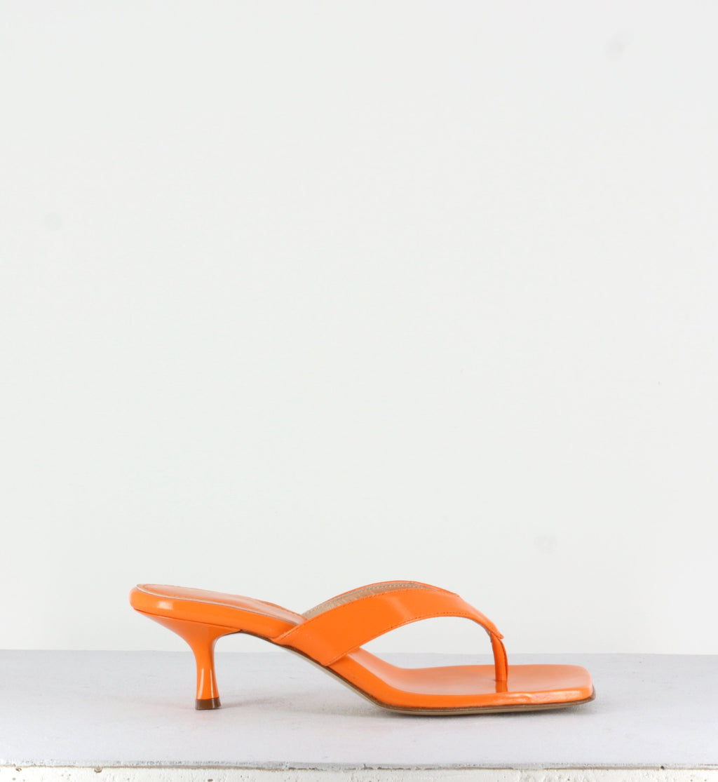 RB1075 NETTARINA