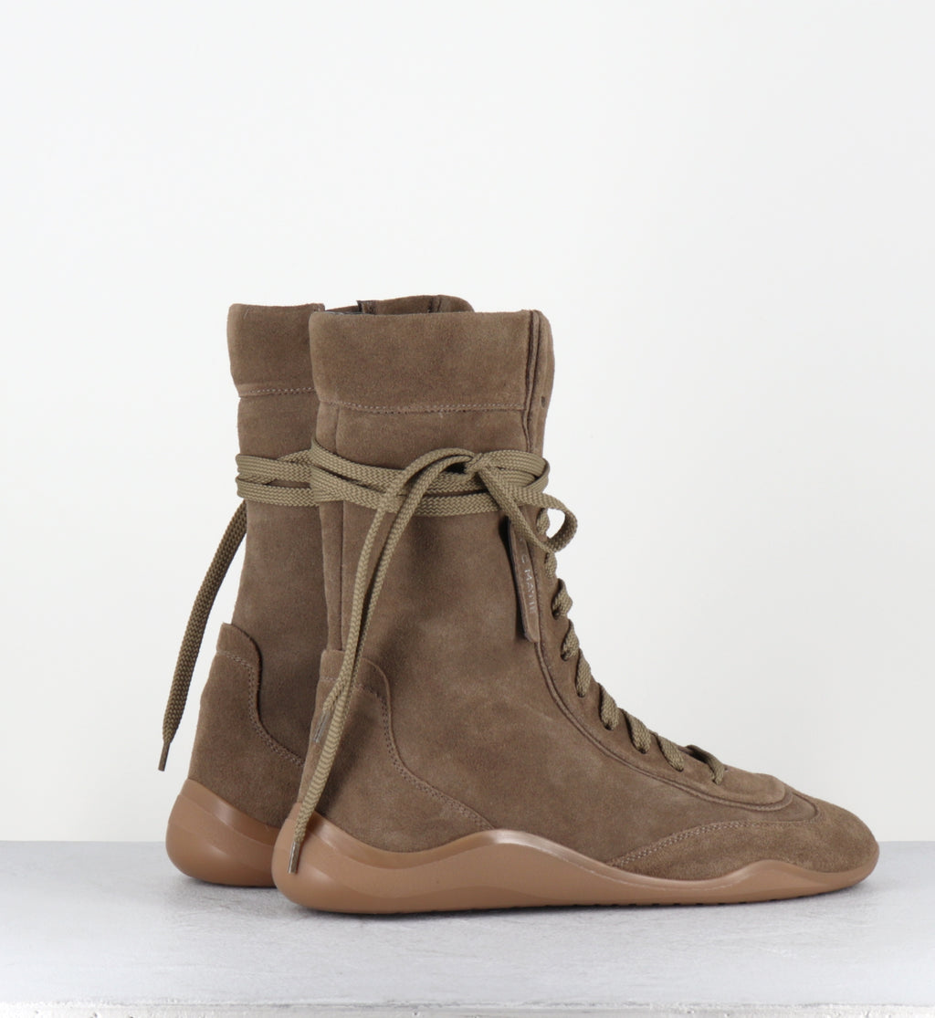 1H4306D SENSE TORTORA