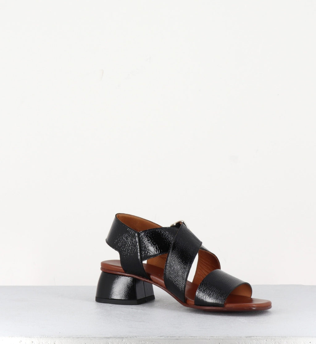 QUI-ISRAEL44 FERRARI NEGRO