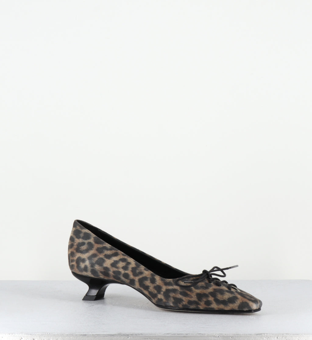 LATEI KAMELOS MACULATO