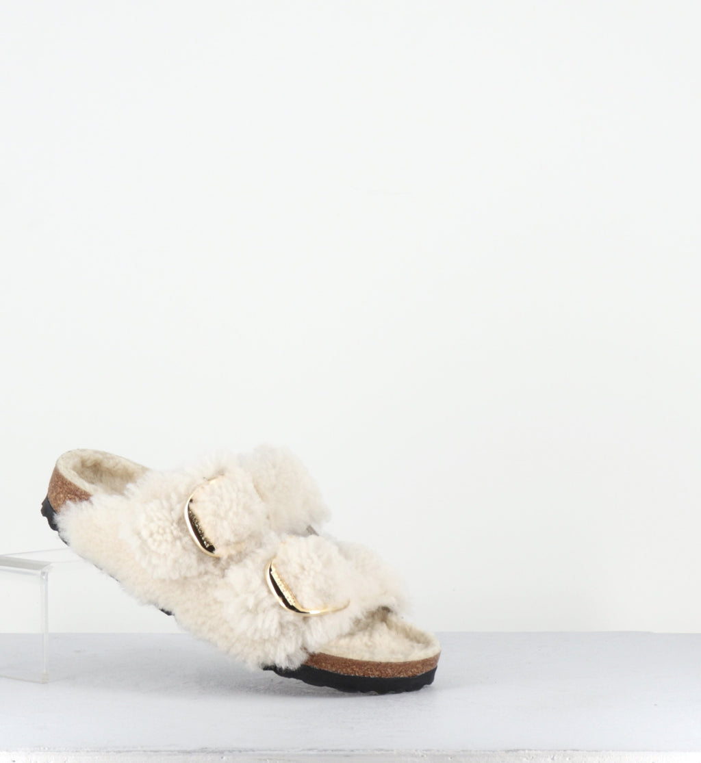 ARIZONA BIG BUCKLE TEDDY